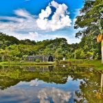 Orquidário ou Borboletário do Jardim Botânico de Goiânia